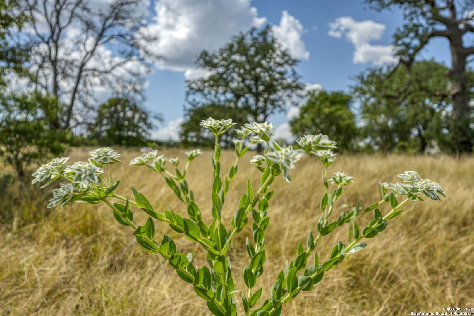 4.01 acres in Kendall County - photo 55