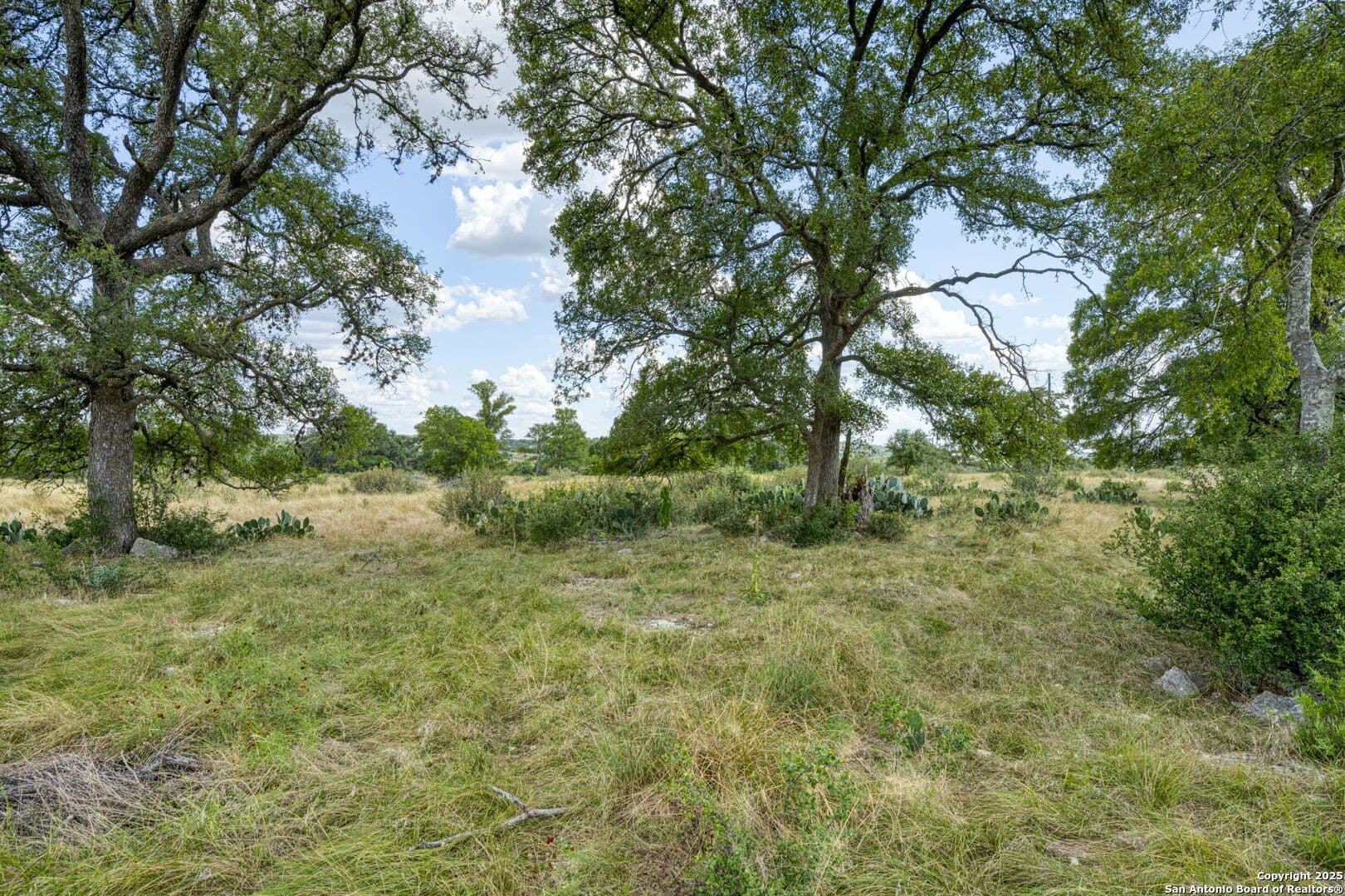 4.01 acres in Kendall County - photo 59