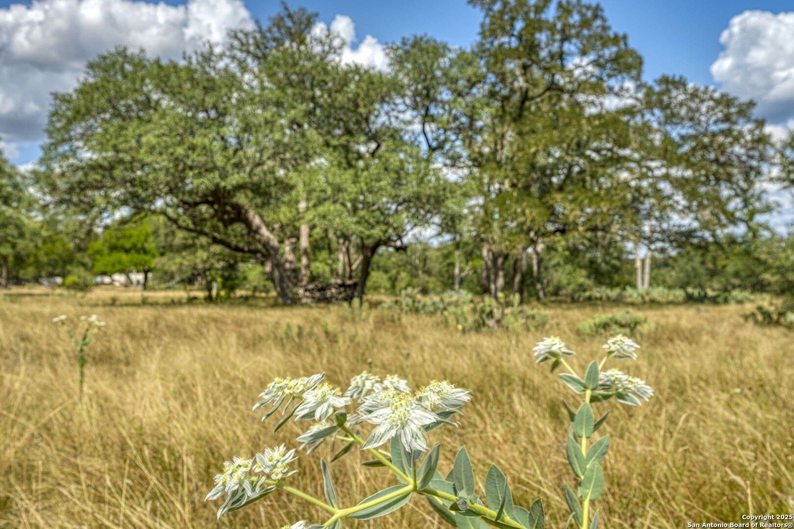 4.01 acres in Kendall County - photo 53