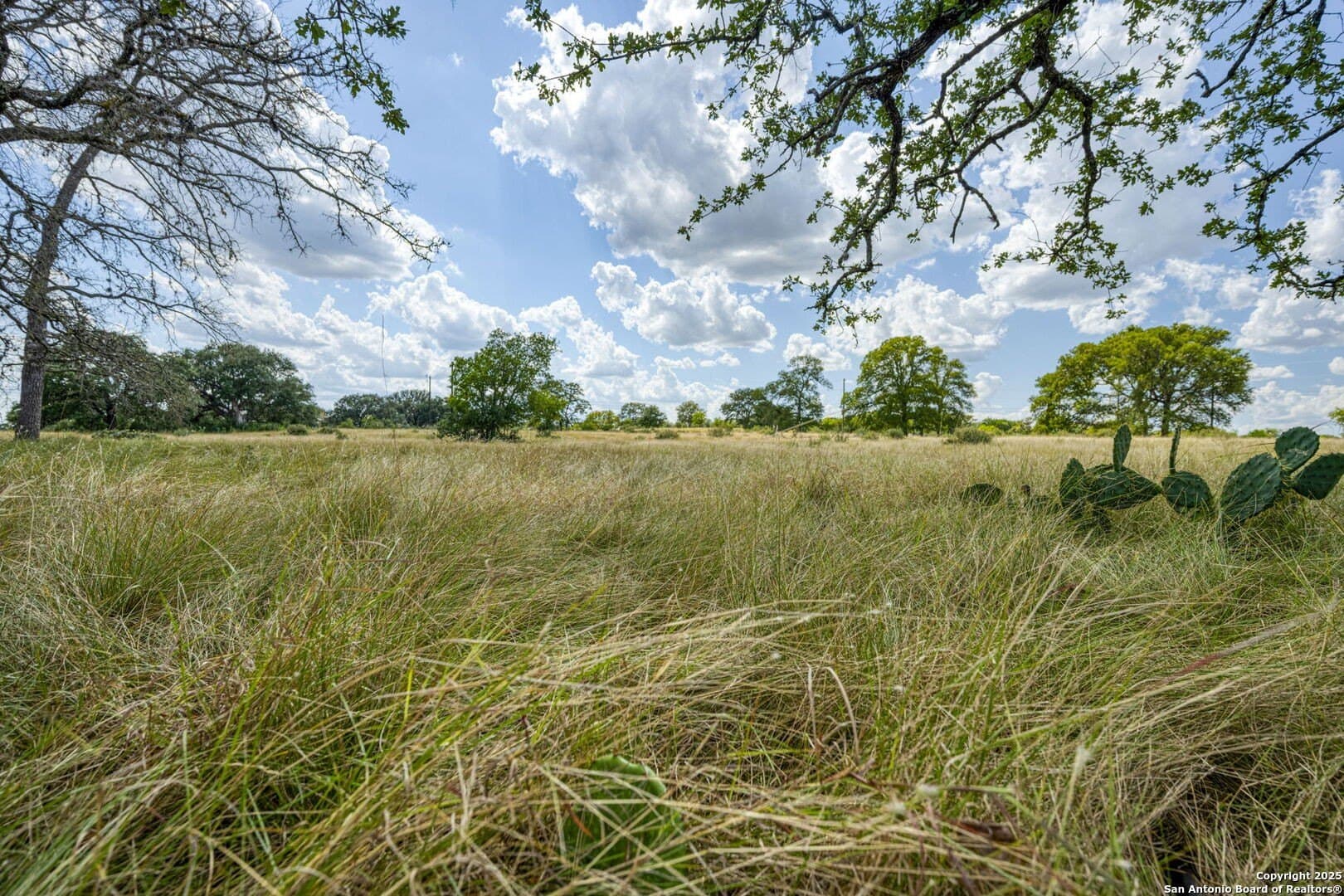 4.01 acres in Kendall County - photo 56