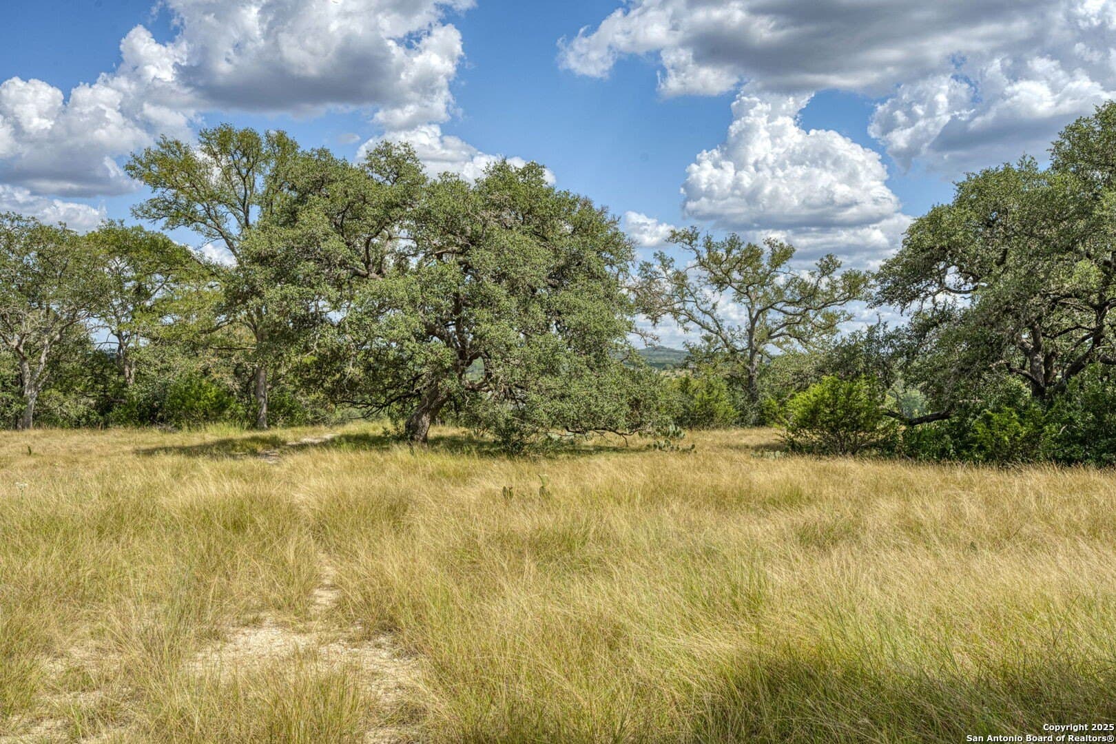 4.01 acres in Kendall County - photo 51