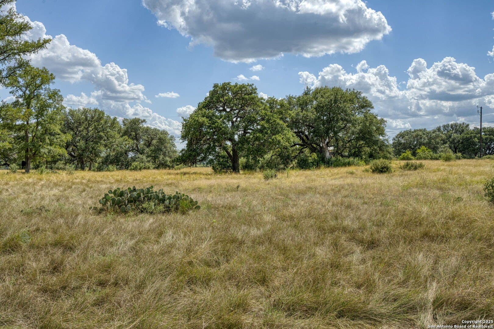 4.01 acres in Kendall County - photo 48