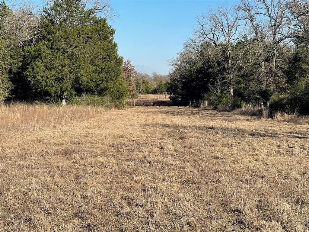 72.28 acres in Freestone County - photo 15