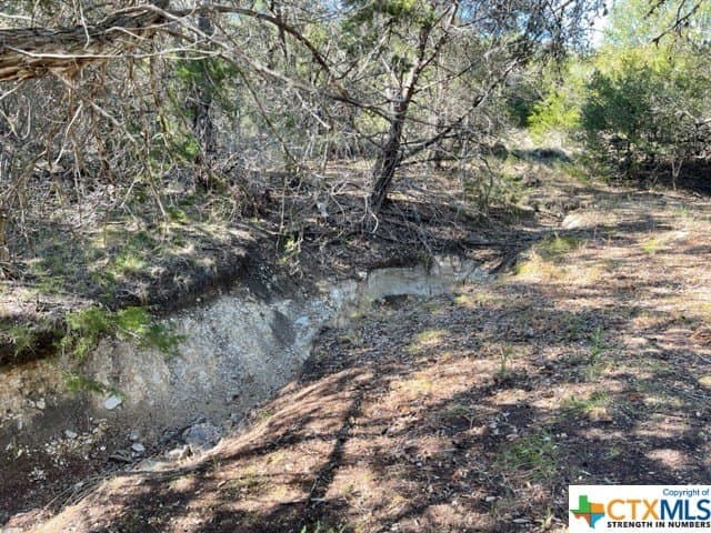 14.46 acres in Hays County - photo 13