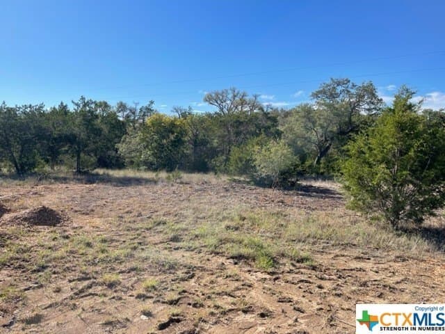 14.46 acres in Hays County - photo 7