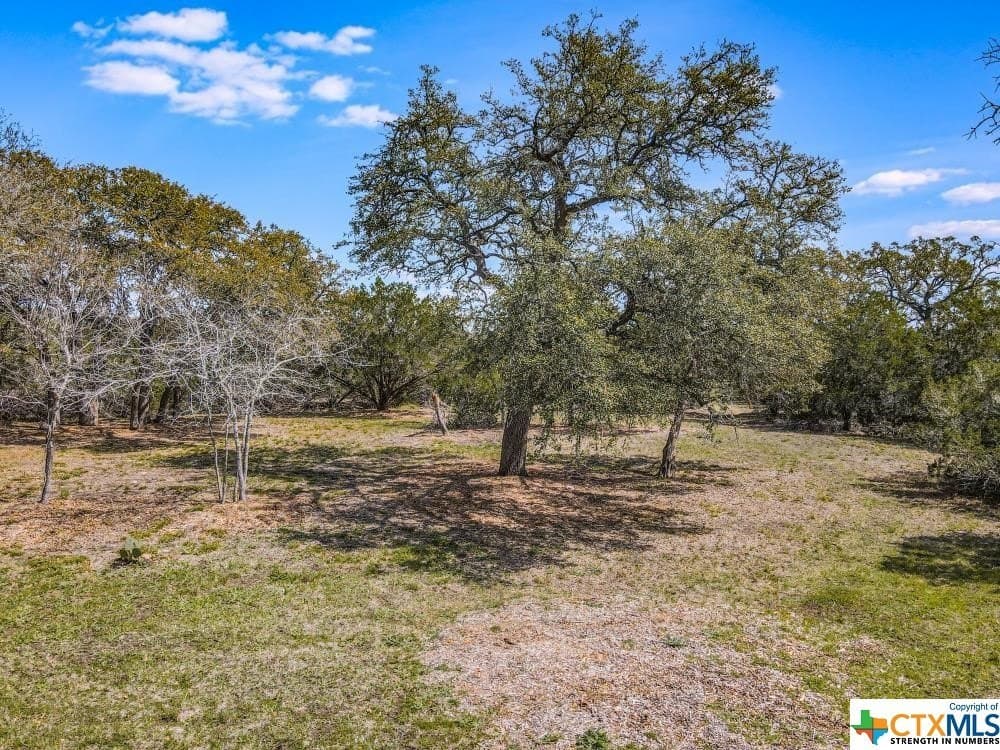14.46 acres in Hays County - photo 8