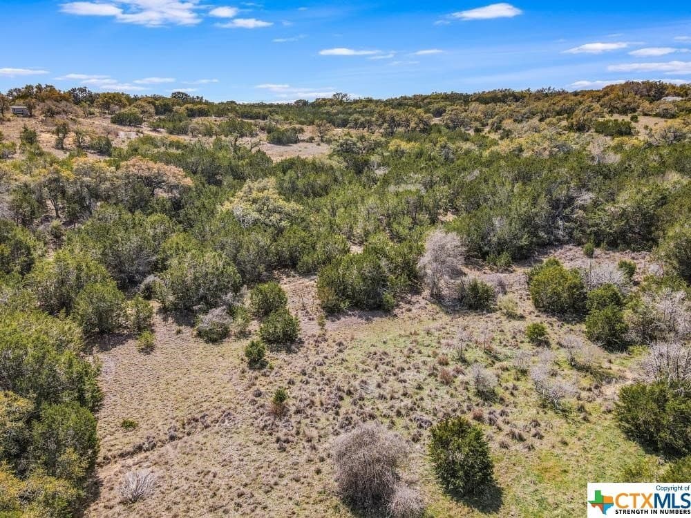 14.46 acres in Hays County - photo 17