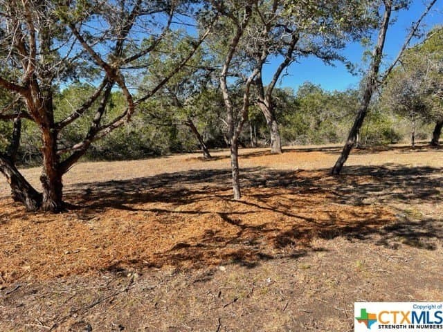14.46 acres in Hays County - photo 5
