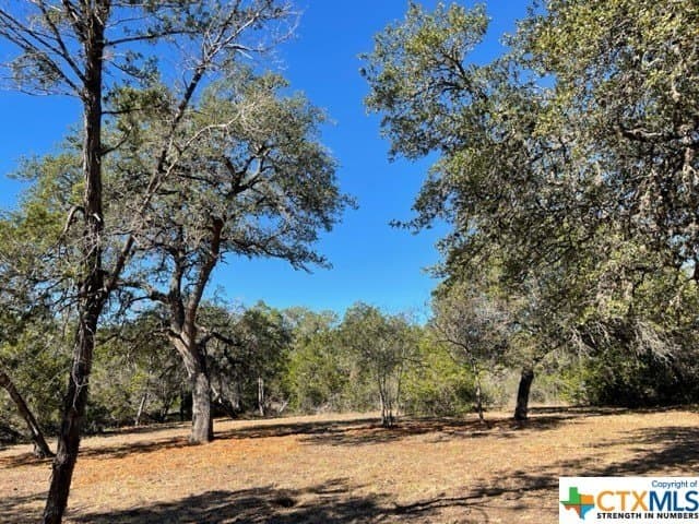 14.46 acres in Hays County - photo 6