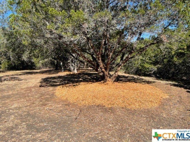 14.46 acres in Hays County - photo 9