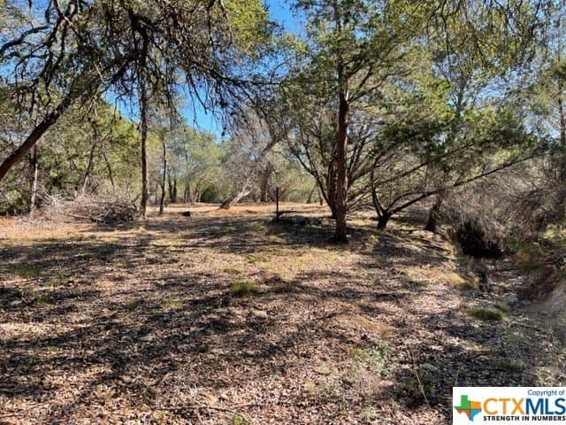 14.46 acres in Hays County - photo 11