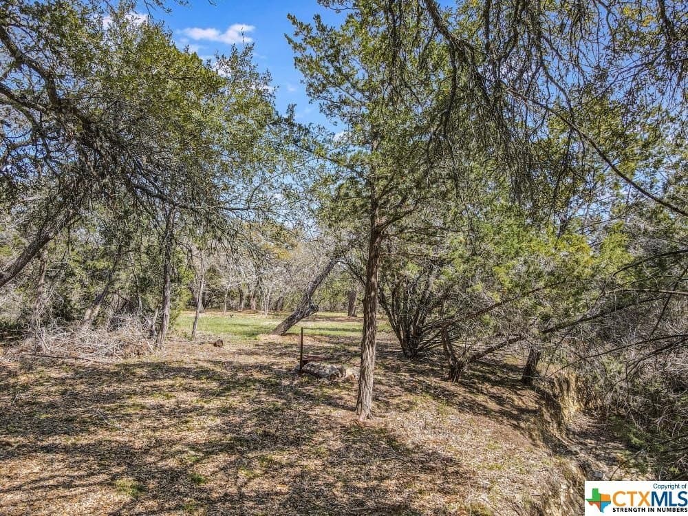 14.46 acres in Hays County - photo 10