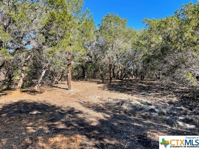 14.46 acres in Hays County - photo 4