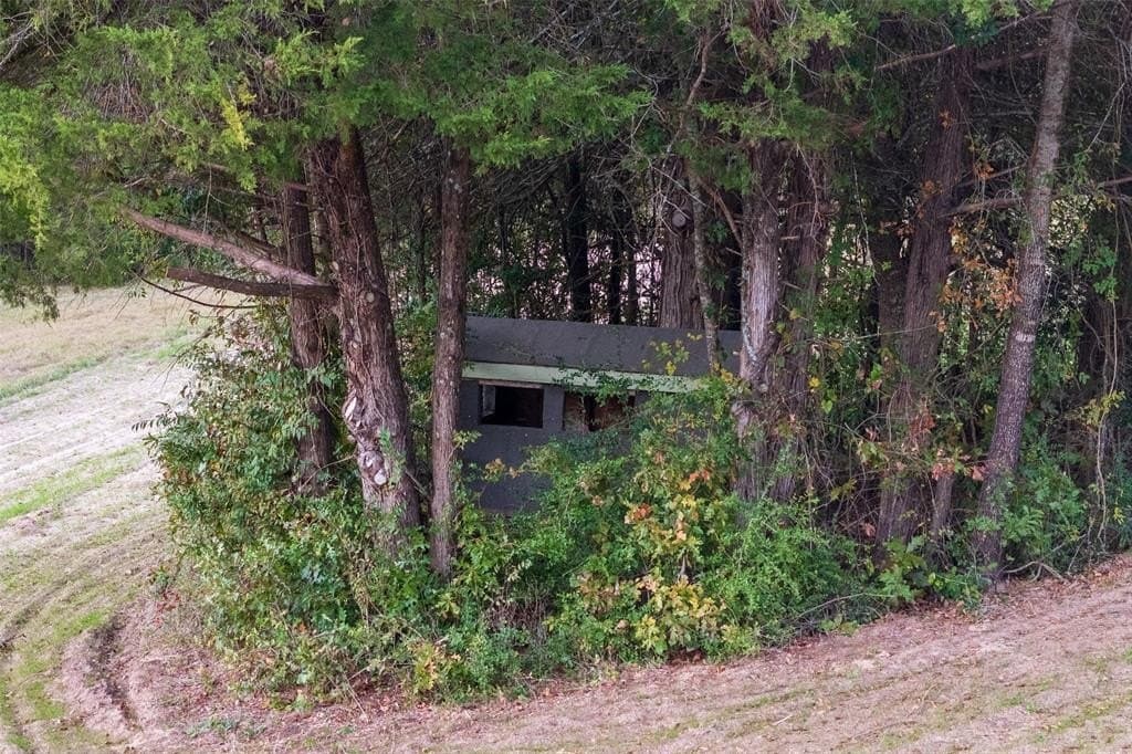36.91 acres in Cherokee County - photo 4