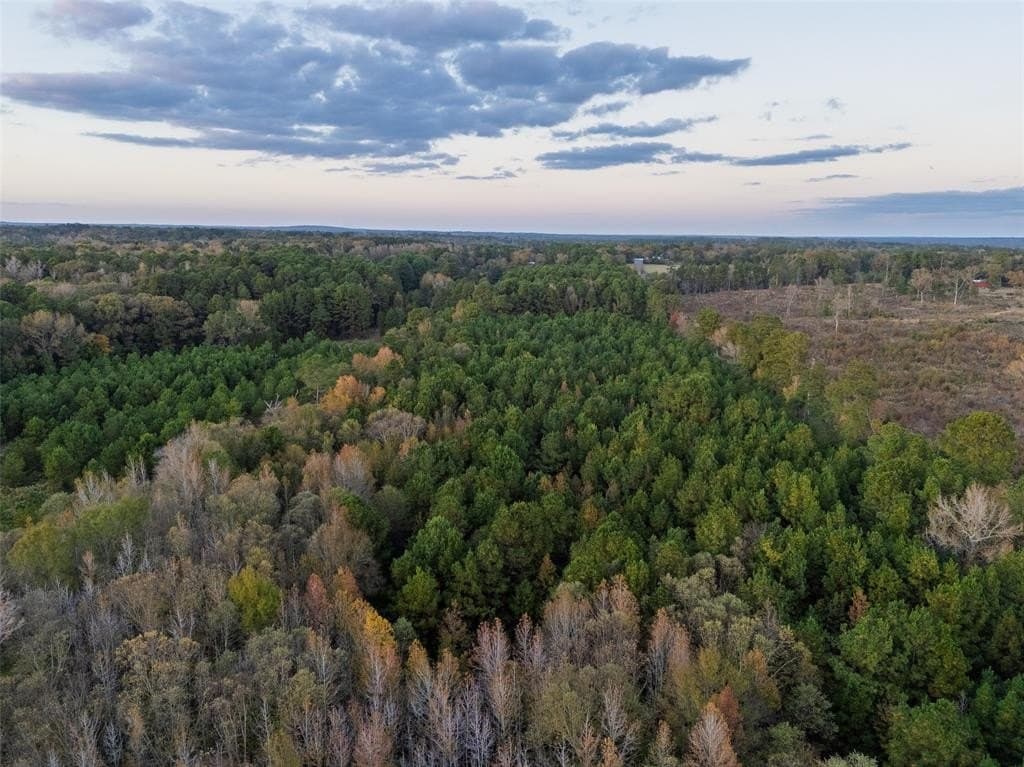 36.91 acres in Cherokee County - photo 6