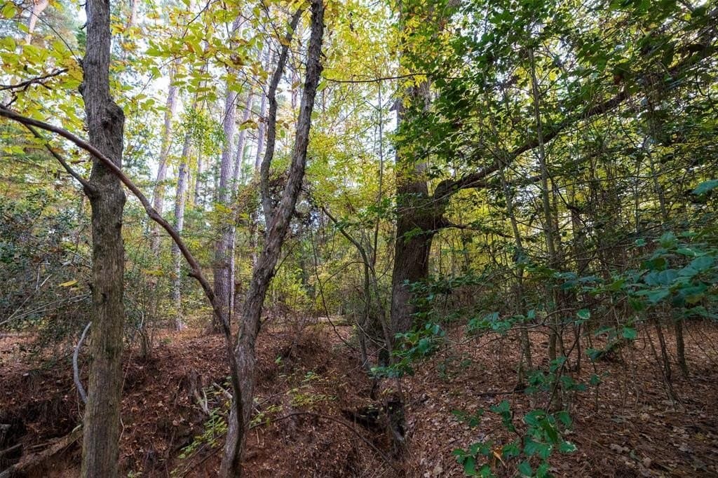 36.91 acres in Cherokee County - photo 16