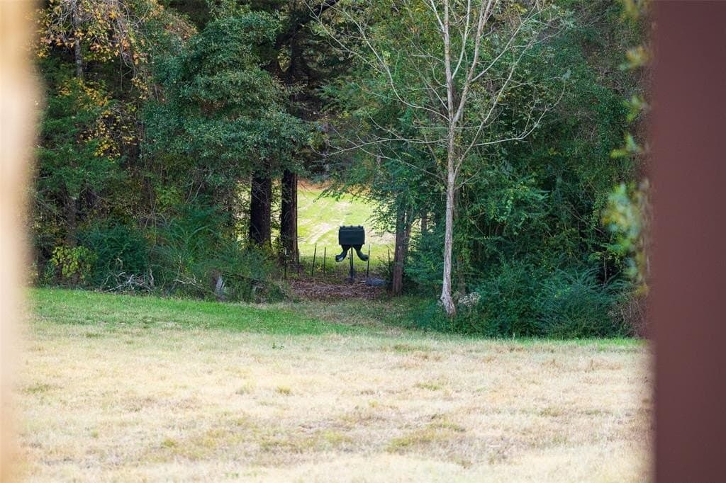 36.91 acres in Cherokee County - photo 34