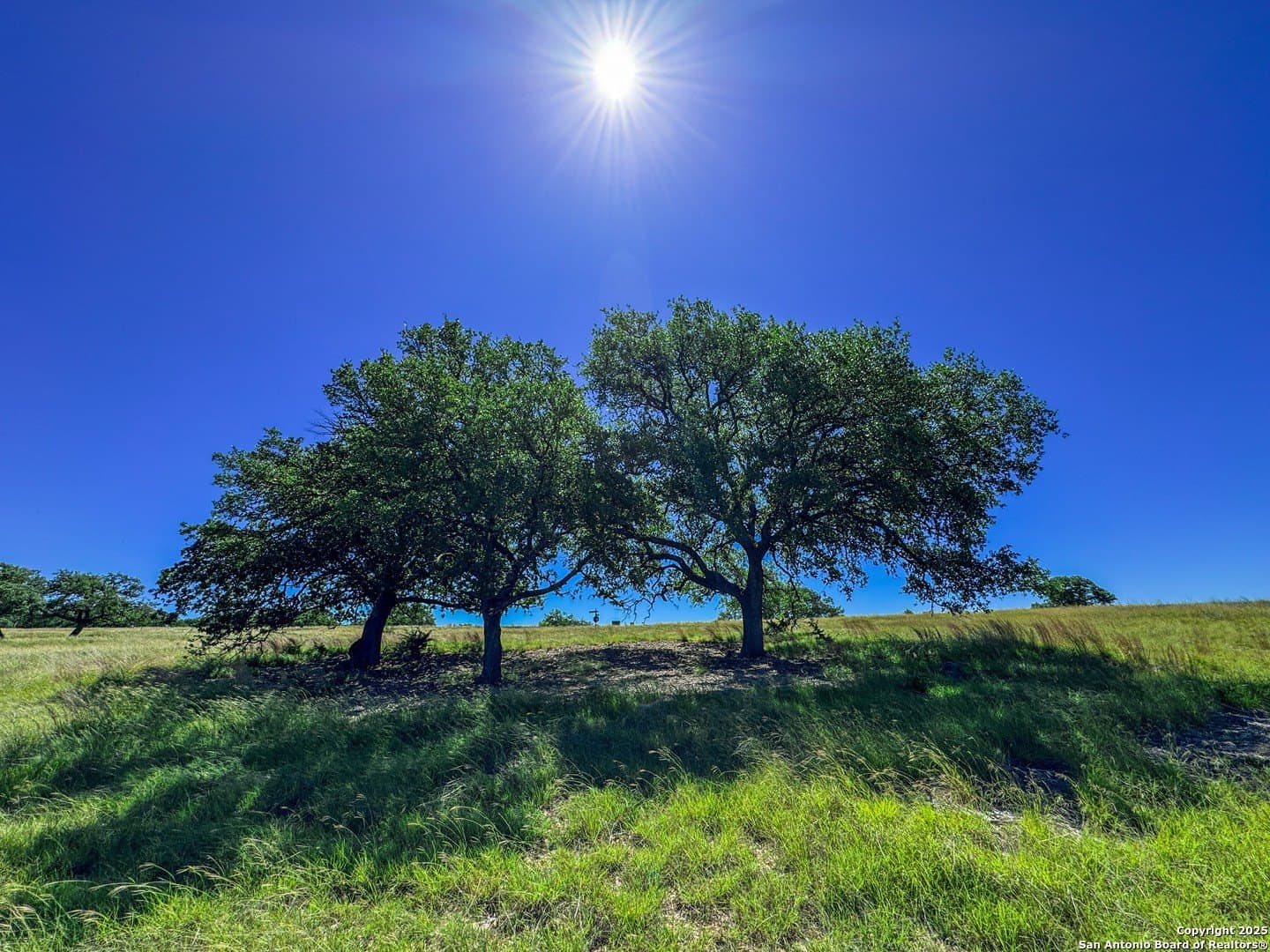 3.2 acres in Gillespie County - photo 17