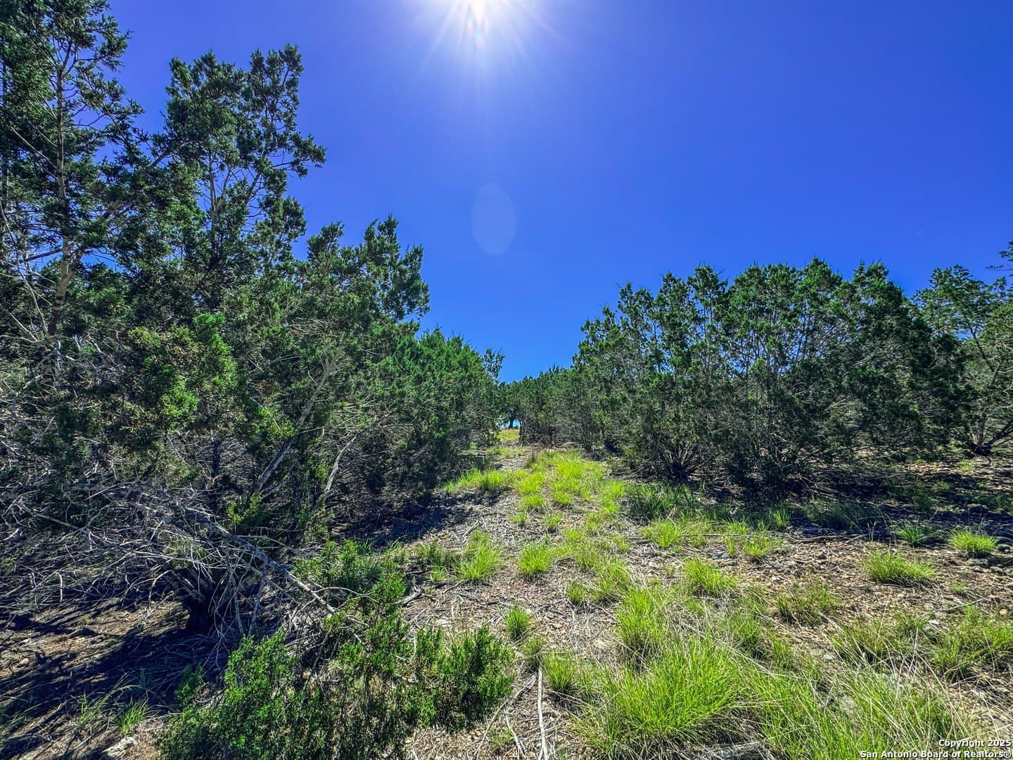 3.2 acres in Gillespie County - photo 14