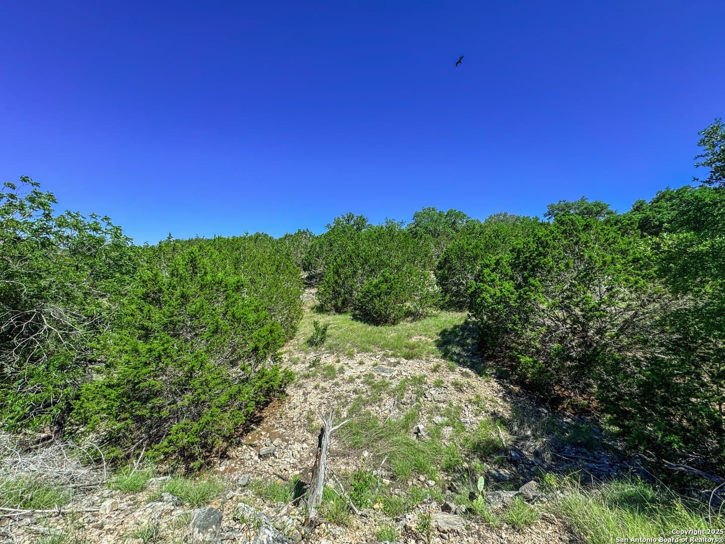 3.2 acres in Gillespie County - photo 13