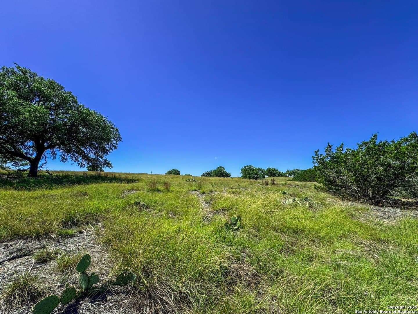 3.2 acres in Gillespie County - photo 15