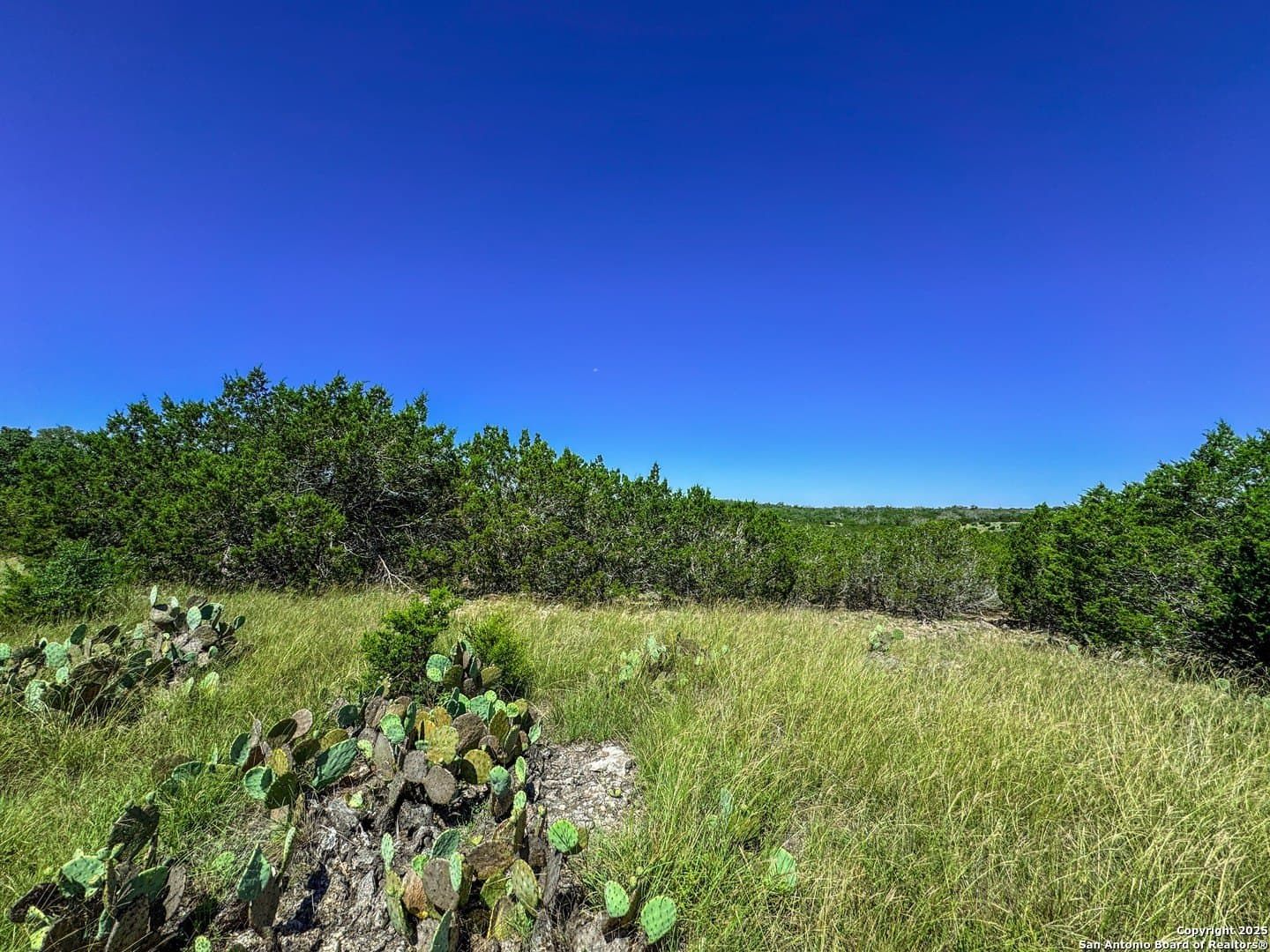 3.2 acres in Gillespie County - photo 9