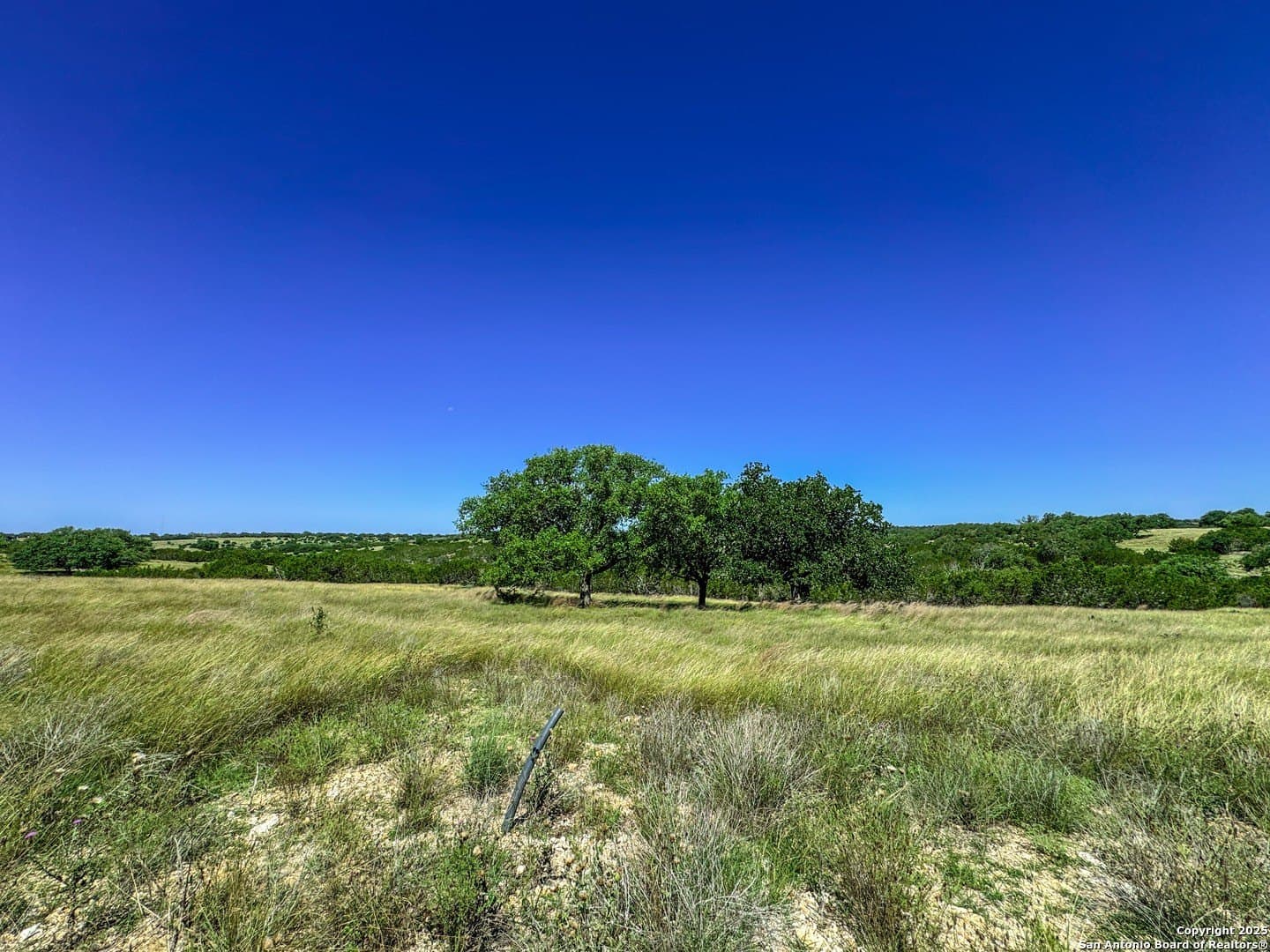 Loma Vista Ranch lot: 20