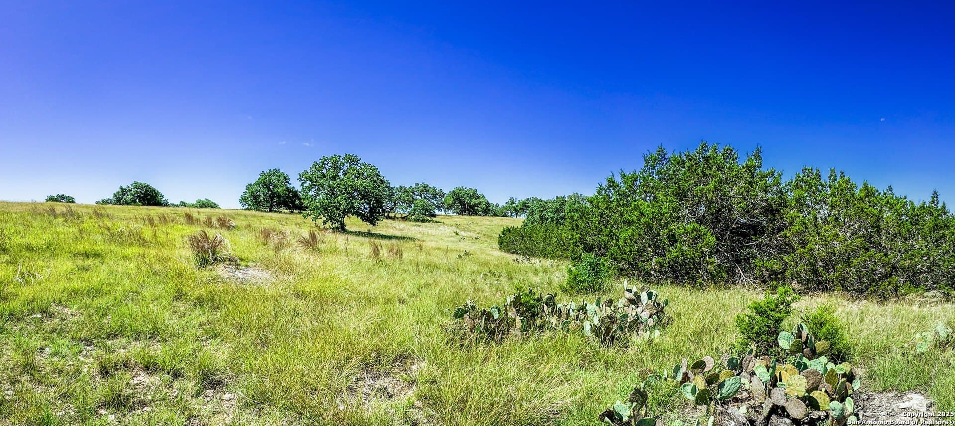 3.2 acres in Gillespie County - photo 8