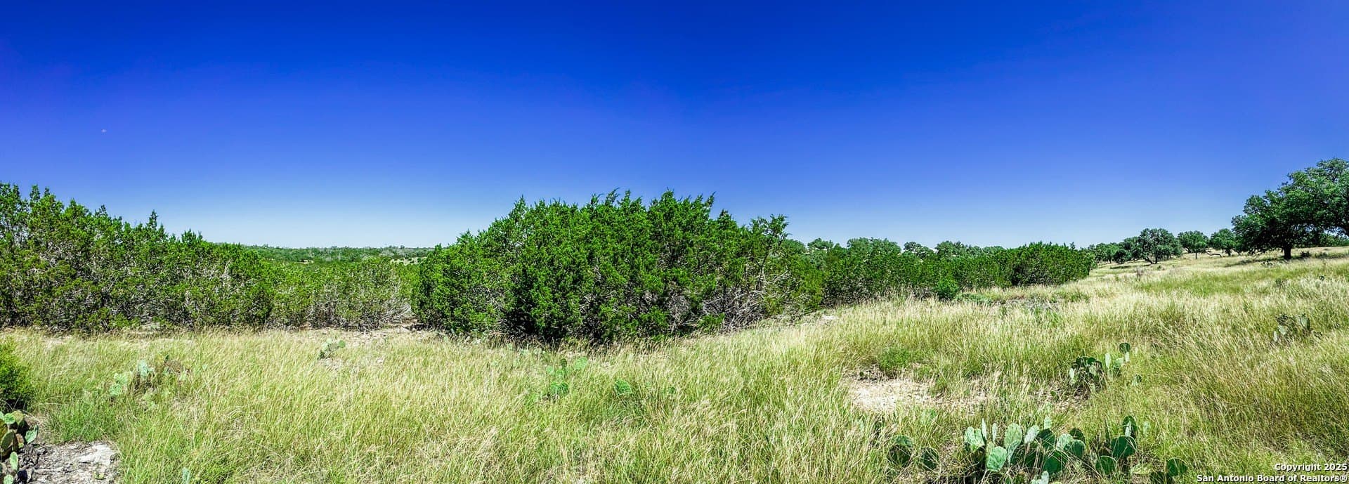 3.2 acres in Gillespie County - photo 10