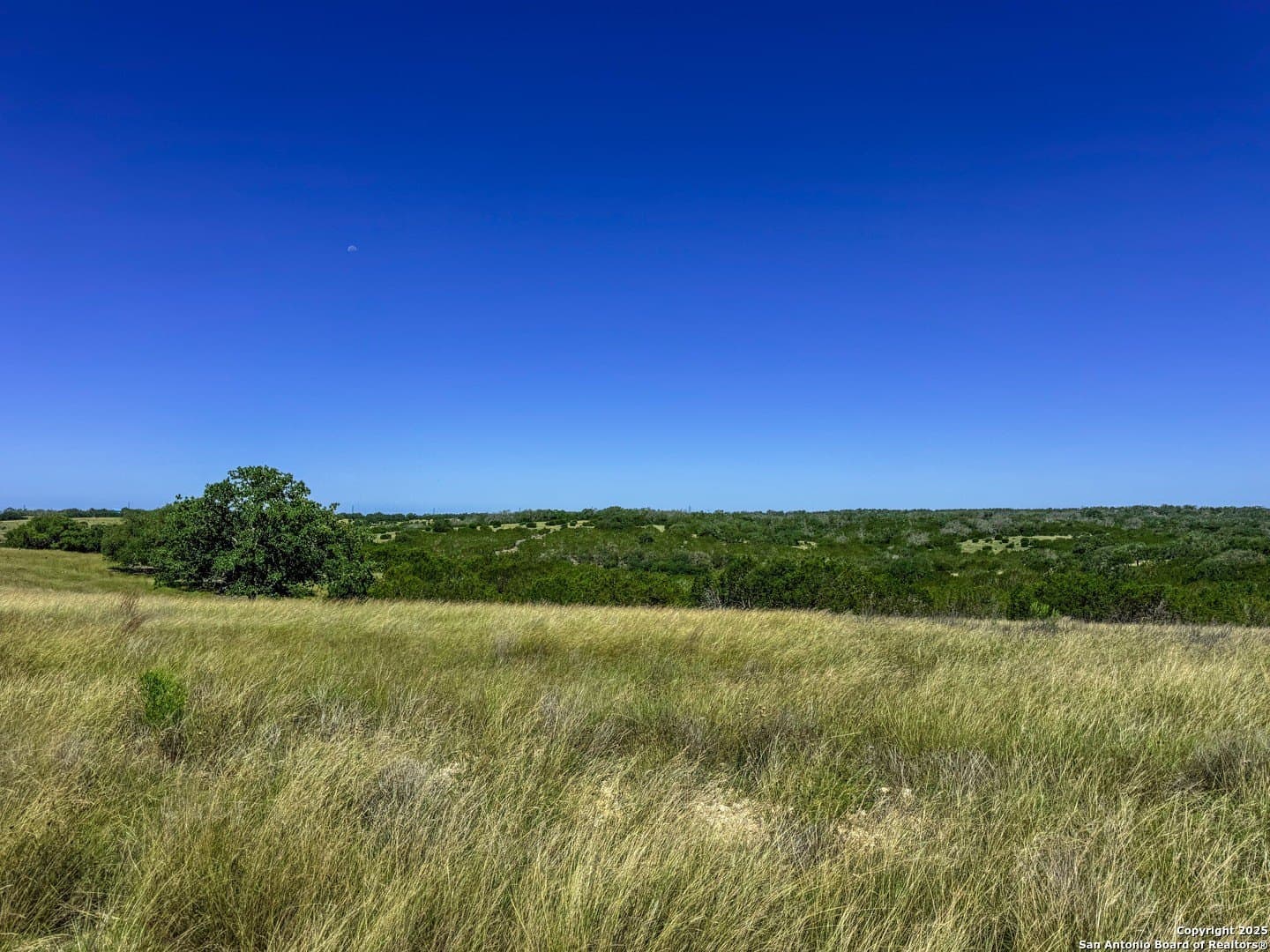 3.2 acres in Gillespie County - photo 3