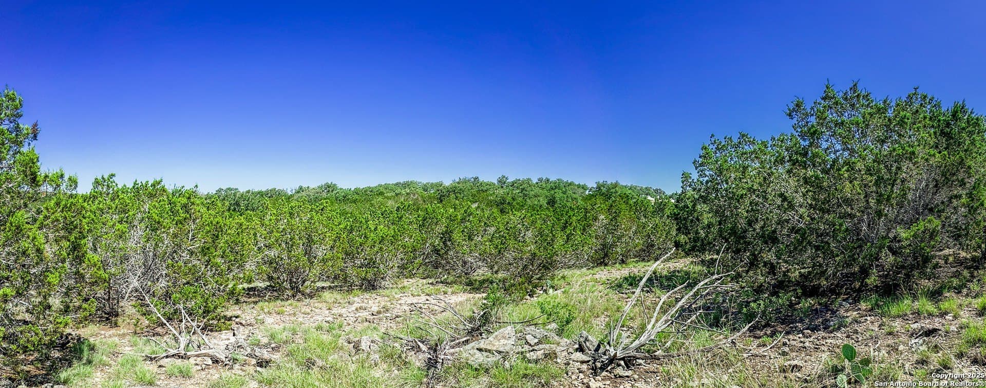 3.2 acres in Gillespie County - photo 12