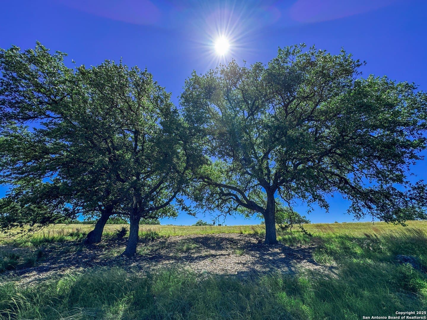 3.2 acres in Gillespie County - photo 16