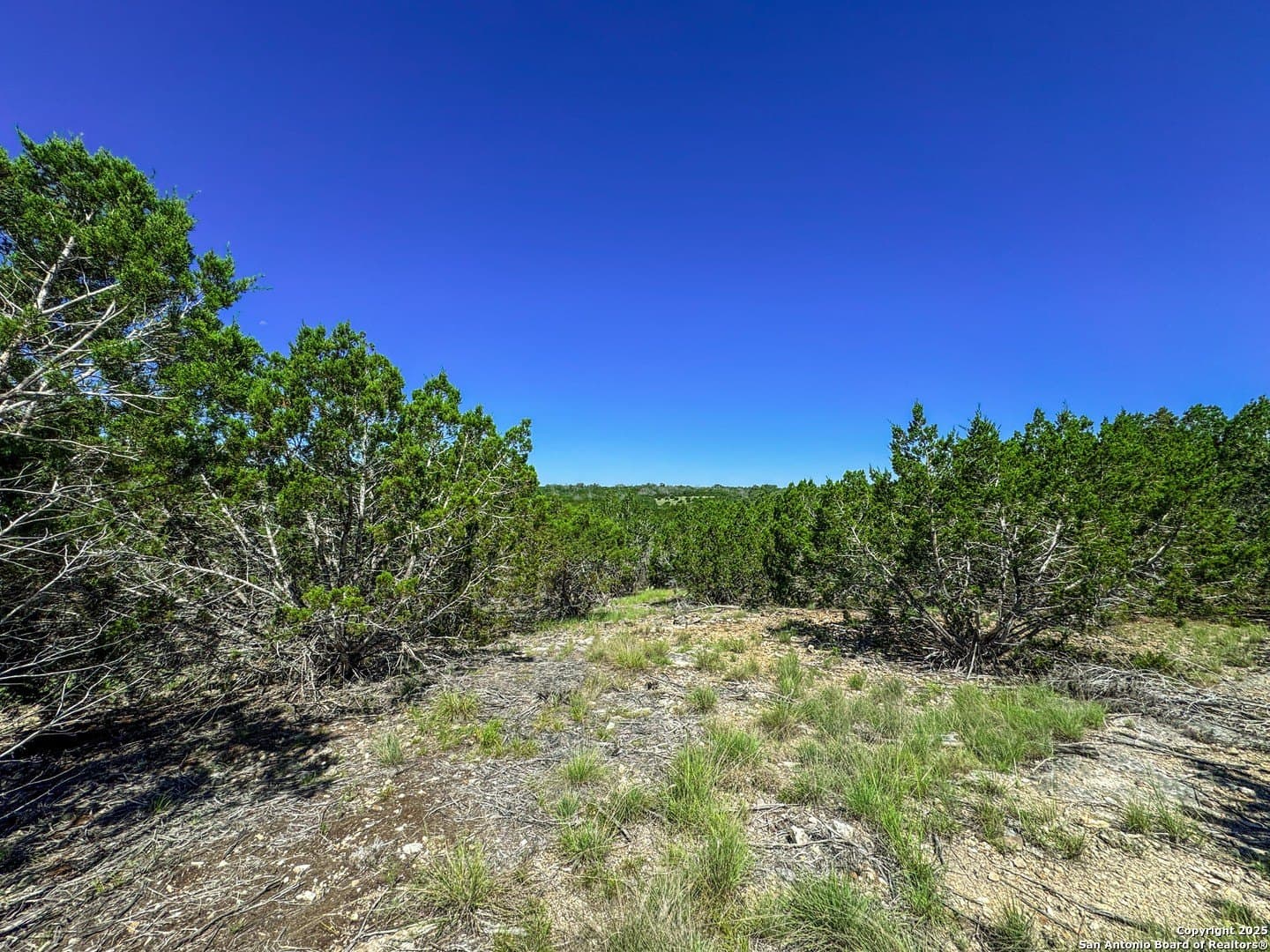 3.2 acres in Gillespie County - photo 11