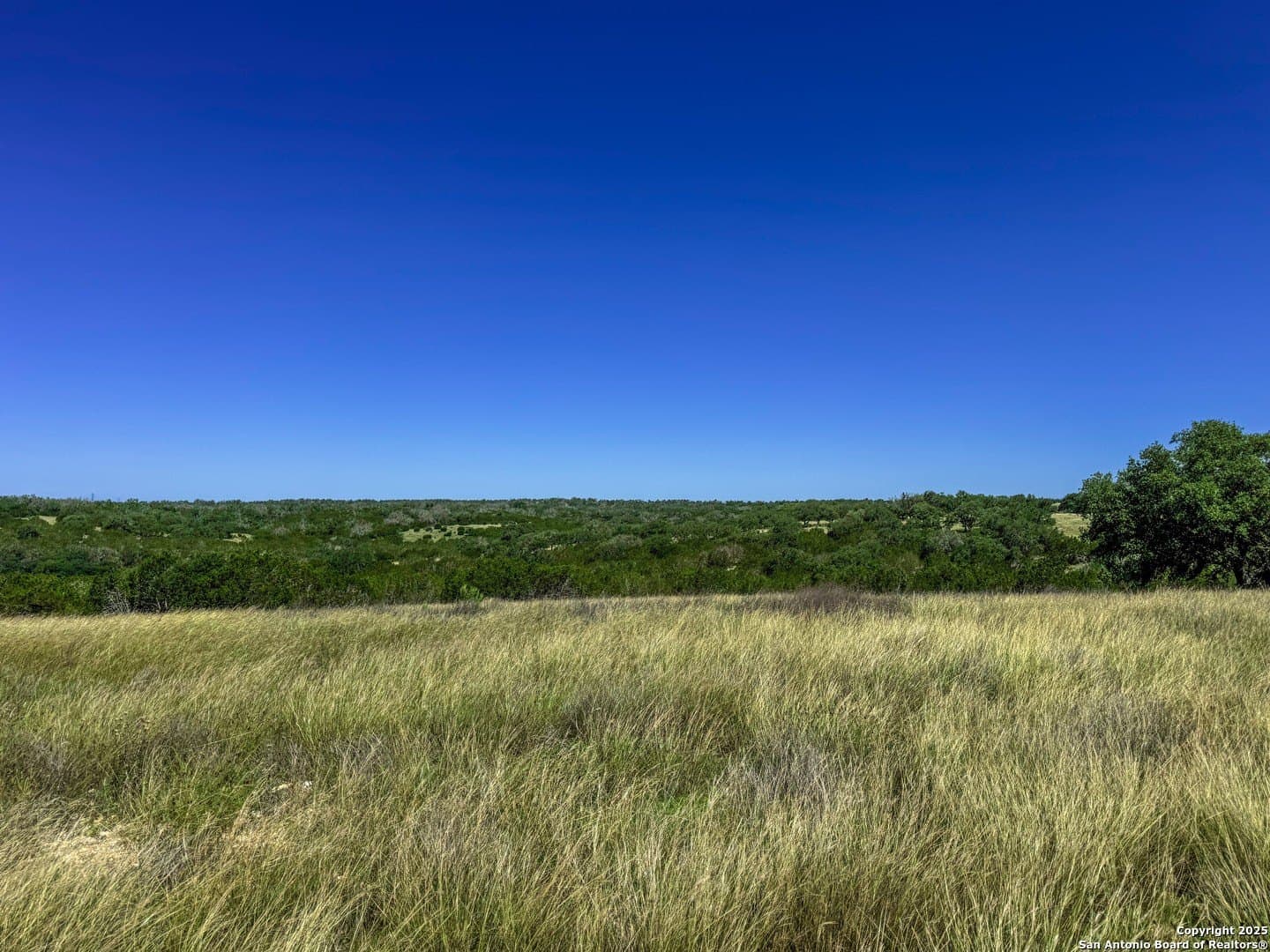 3.2 acres in Gillespie County - photo 4