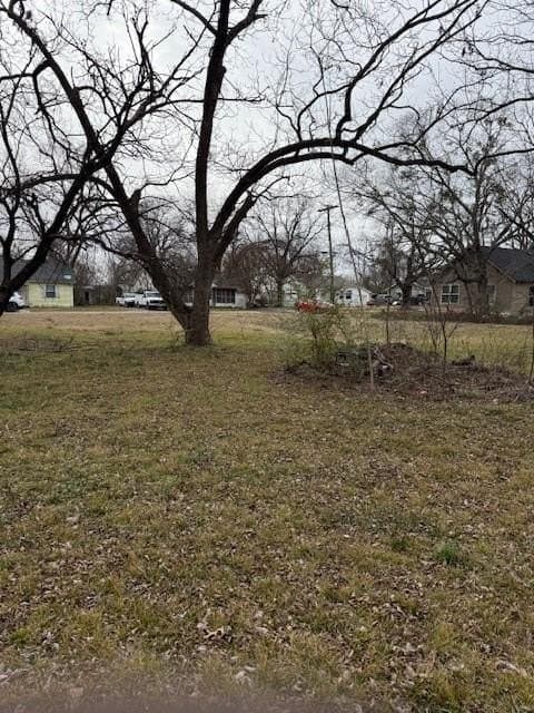 0.2 acres in Fannin County - photo 5