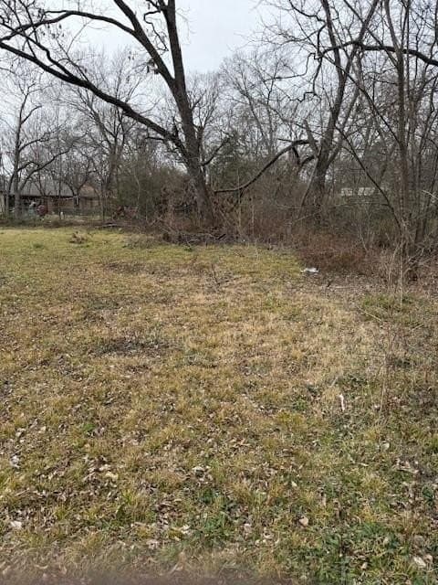 0.2 acres in Fannin County - photo 4