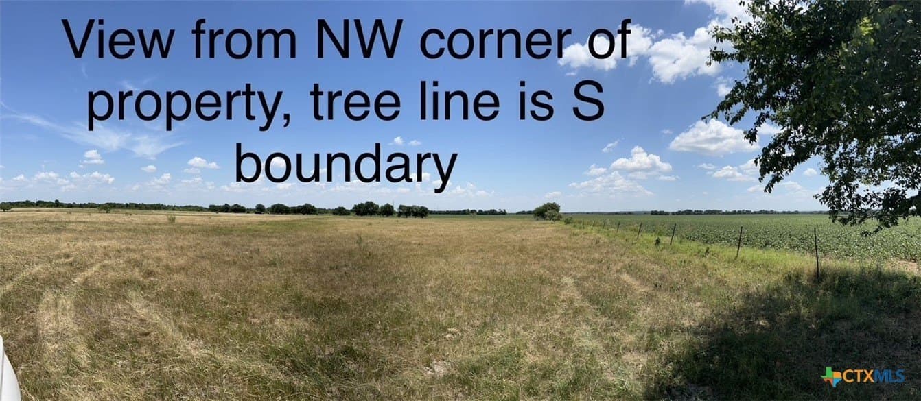 21.32 acres in Milam County - photo 4