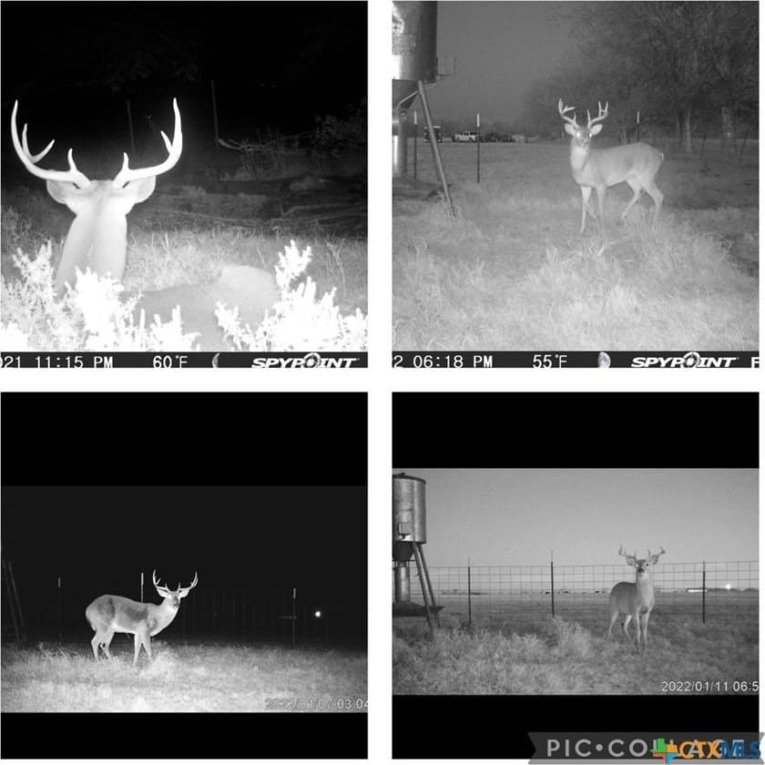 21.32 acres in Milam County - photo 6