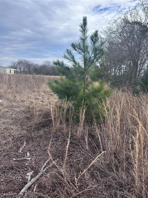 5.02 acres in Henderson County - photo 5