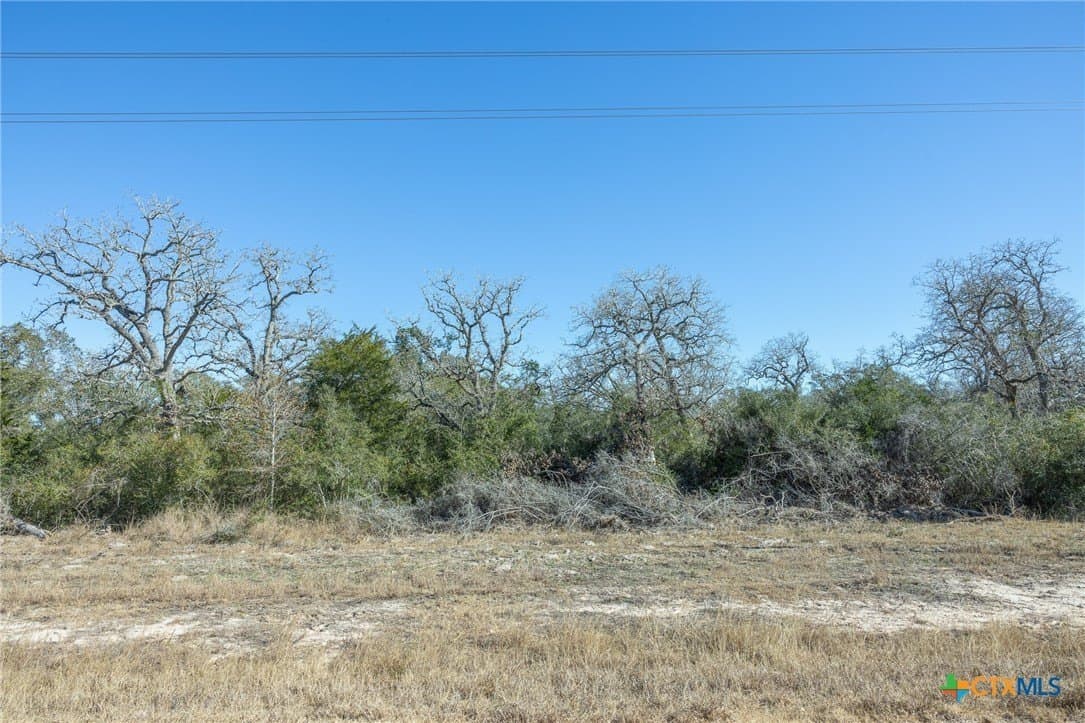 15.99 acres in Victoria County - photo 5