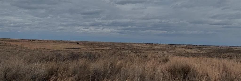 162.75 acres in Wheeler County - photo 5
