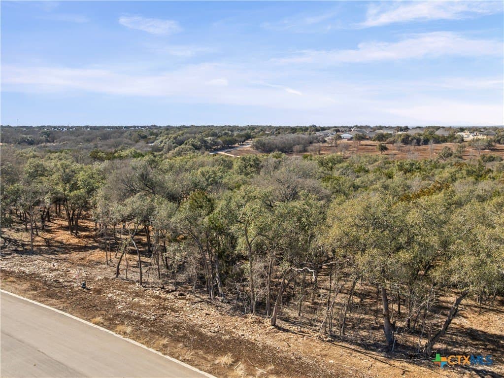 3.14 acres in Bell County - photo 2