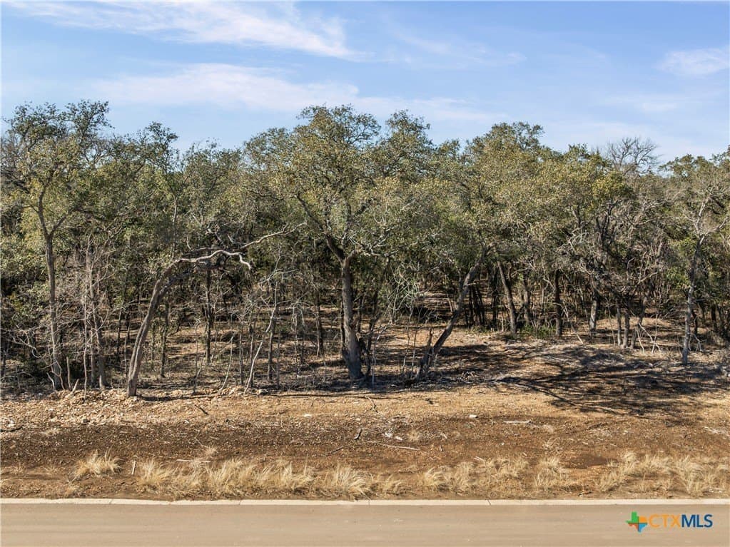 3.14 acres in Bell County - photo 18