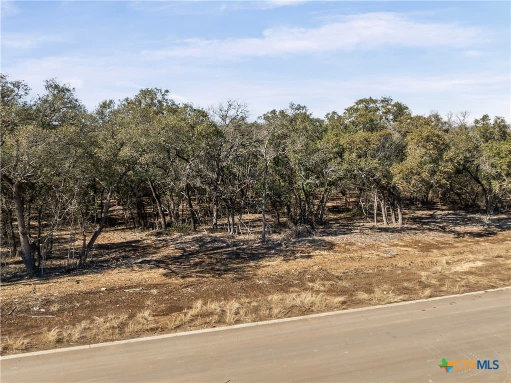 3.14 acres in Bell County - photo 17