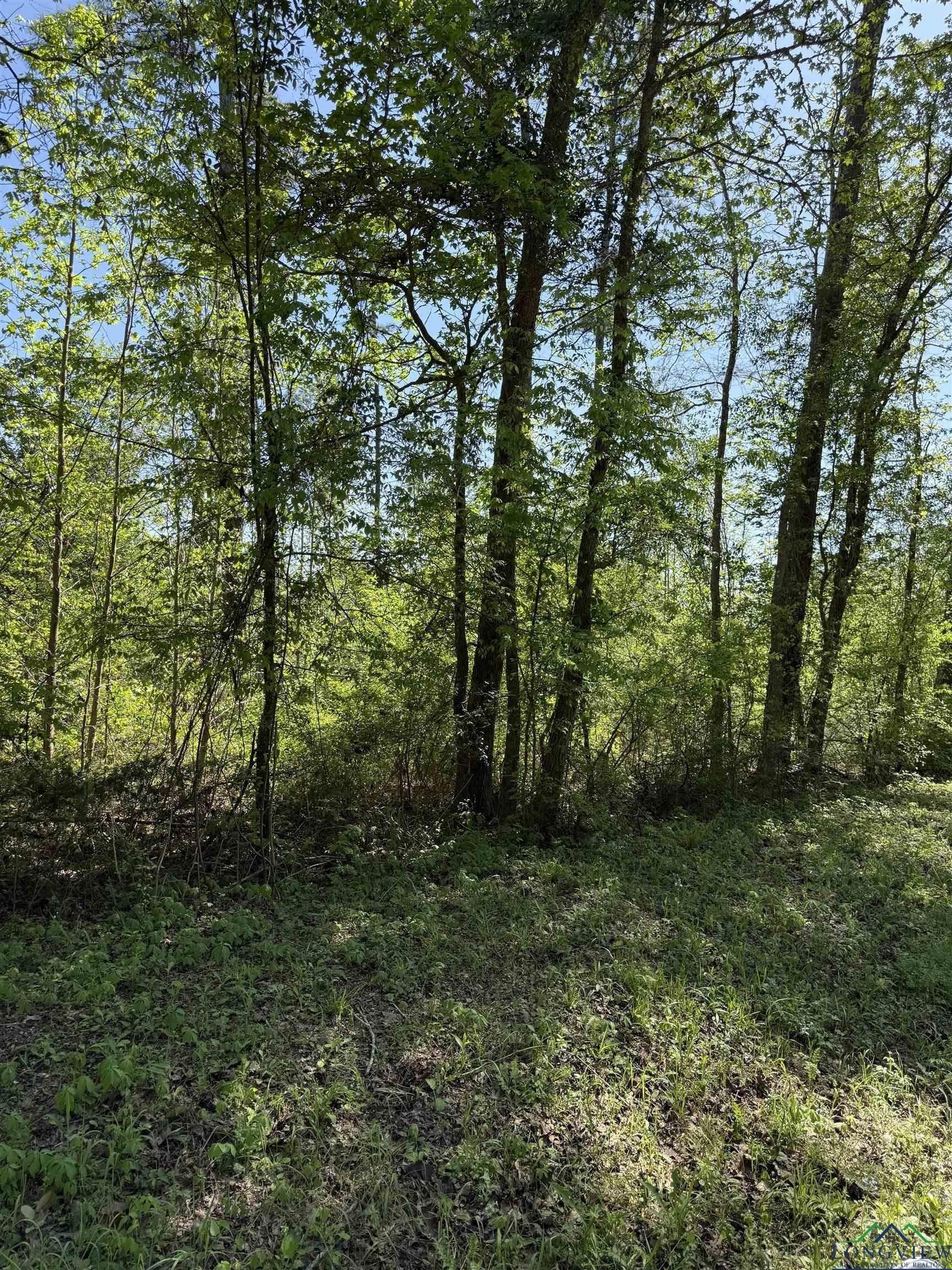 3.8 acres in Rusk County - photo 2