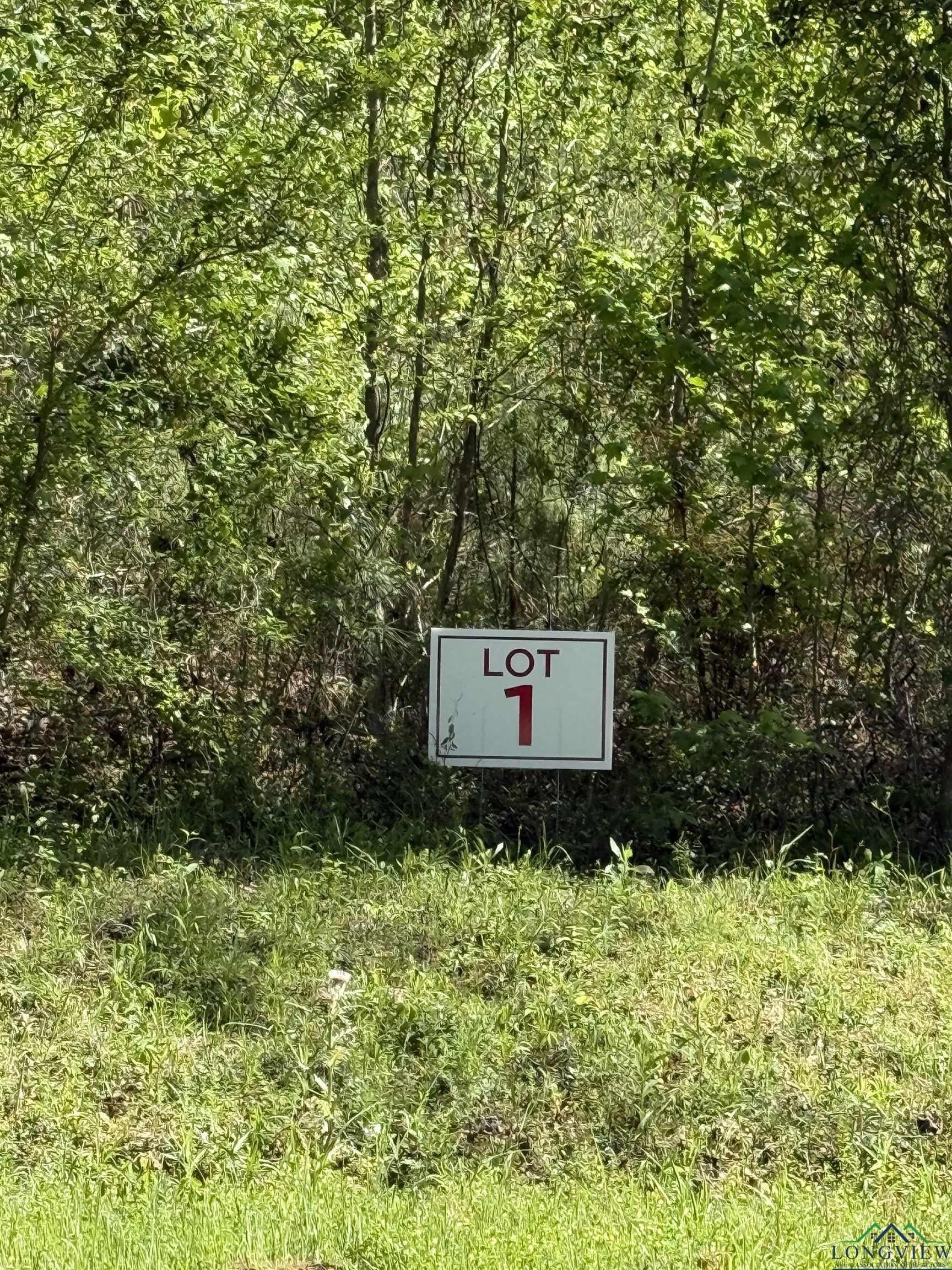 Tbd Lot 1 S FM 839