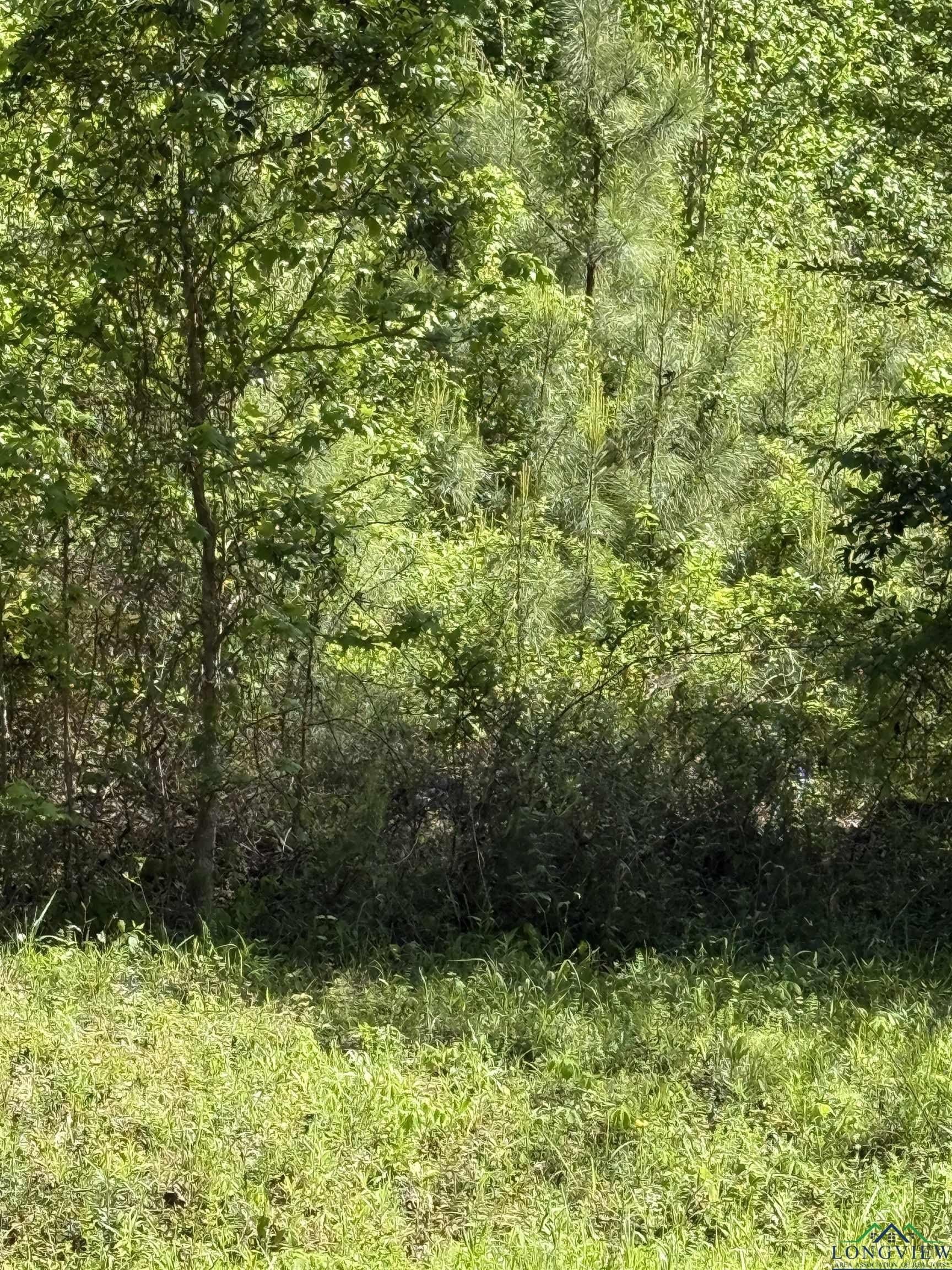 3.8 acres in Rusk County - photo 3