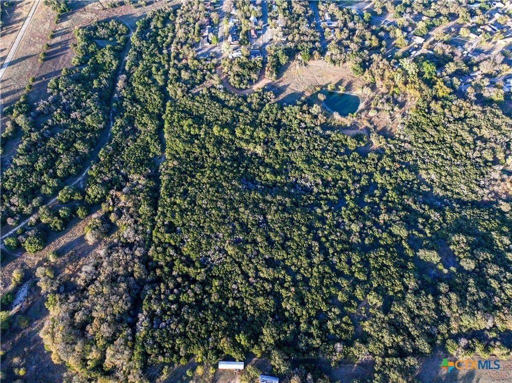 29 acres in Coryell County - photo 19