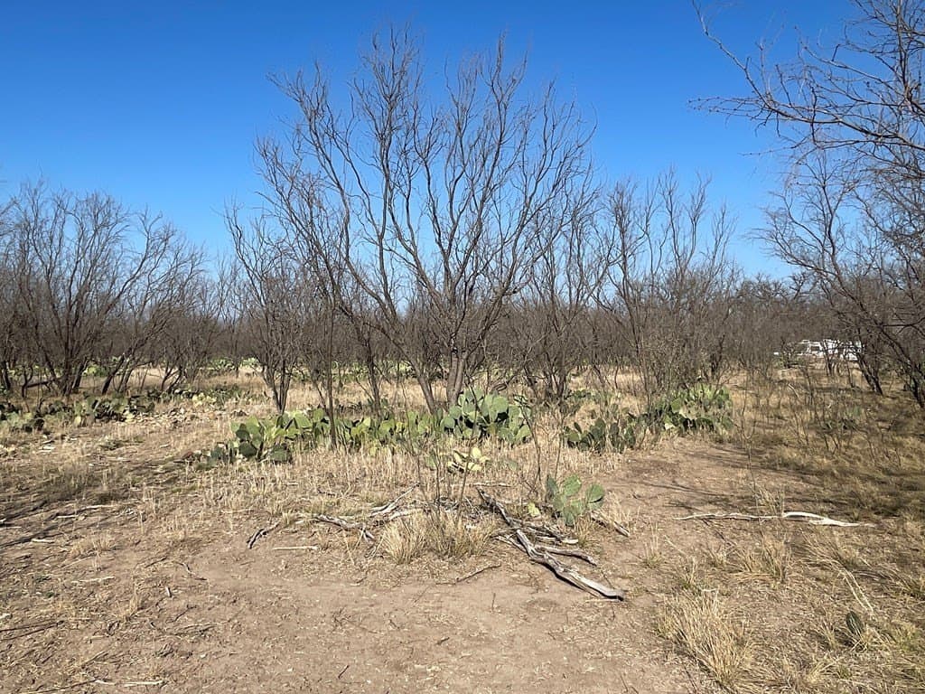 18.08 acres in Irion County - photo 11