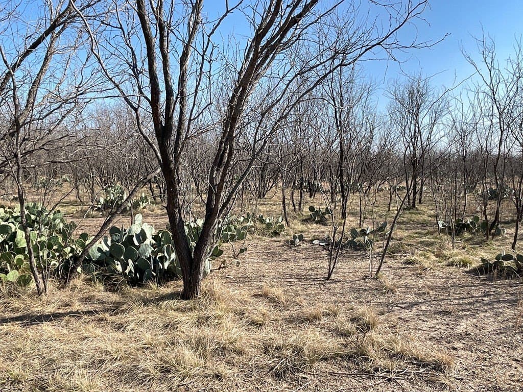 18.08 acres in Irion County - photo 12